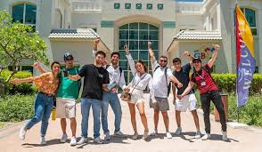 Business Management and  Leadership I ( Professional Certificates)