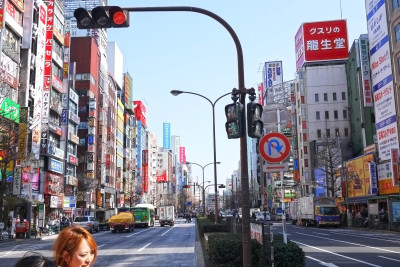 Japanese Private Lessons