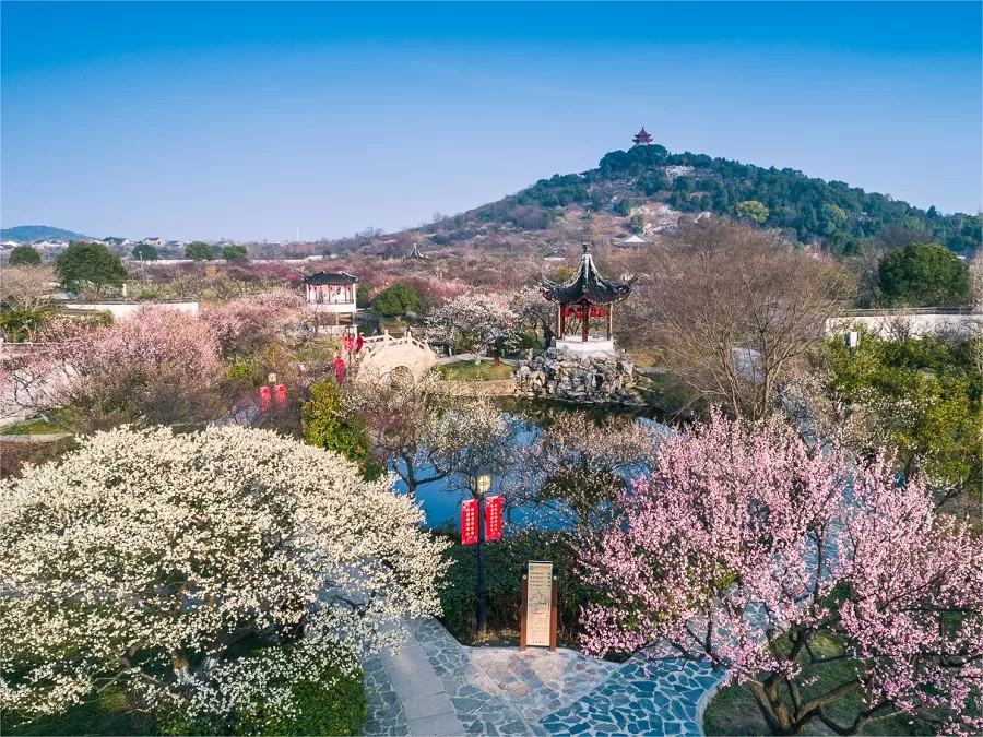 Weekend Trip to Suzhou West Hill