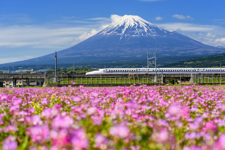 Tokyo Summer Camp (ages 8–19)