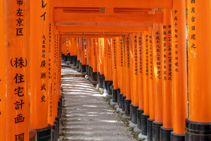 Kyoto Japan Summer Camp (ages 14-19)