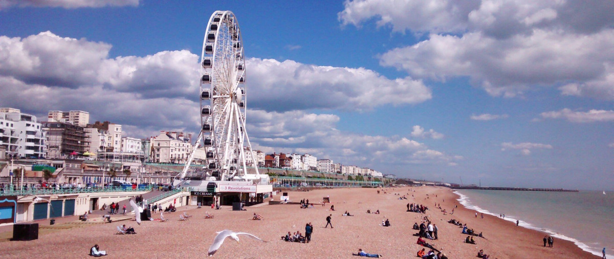 Brighton with walking tour and visit to the Sea Life Centre