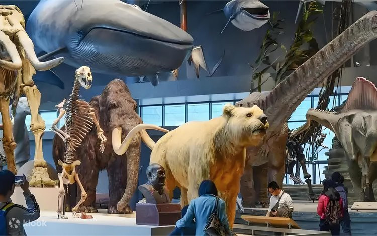 Shanghai Natural History Museum