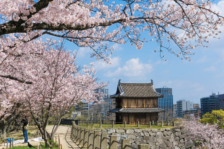 Fukuoka Japan Summer Camp (ages 14-17)