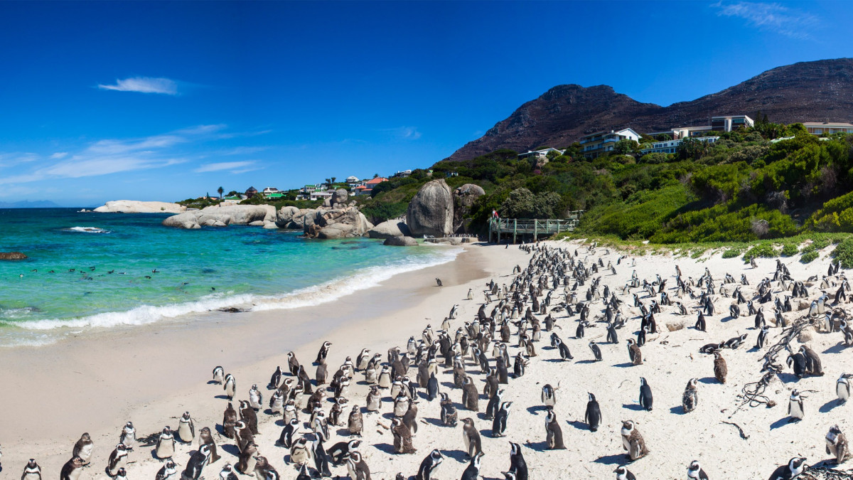 Cape Point