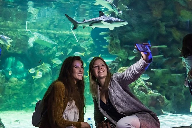 Brighton Sea Life Centre