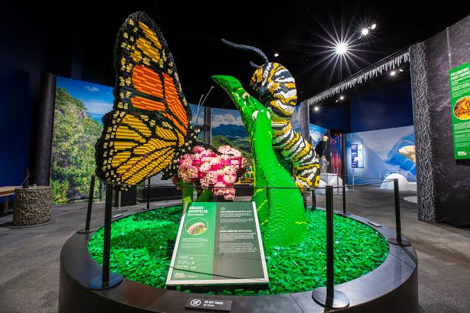 LEGO® Natural Brickstory Exhibition