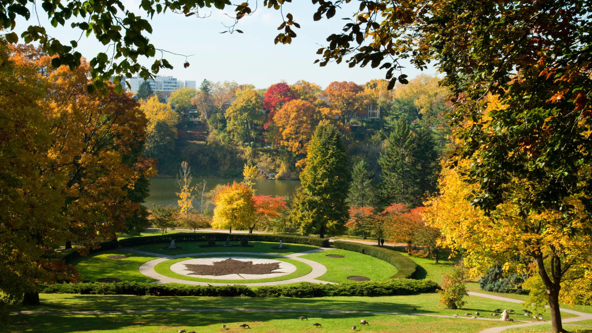 High Park