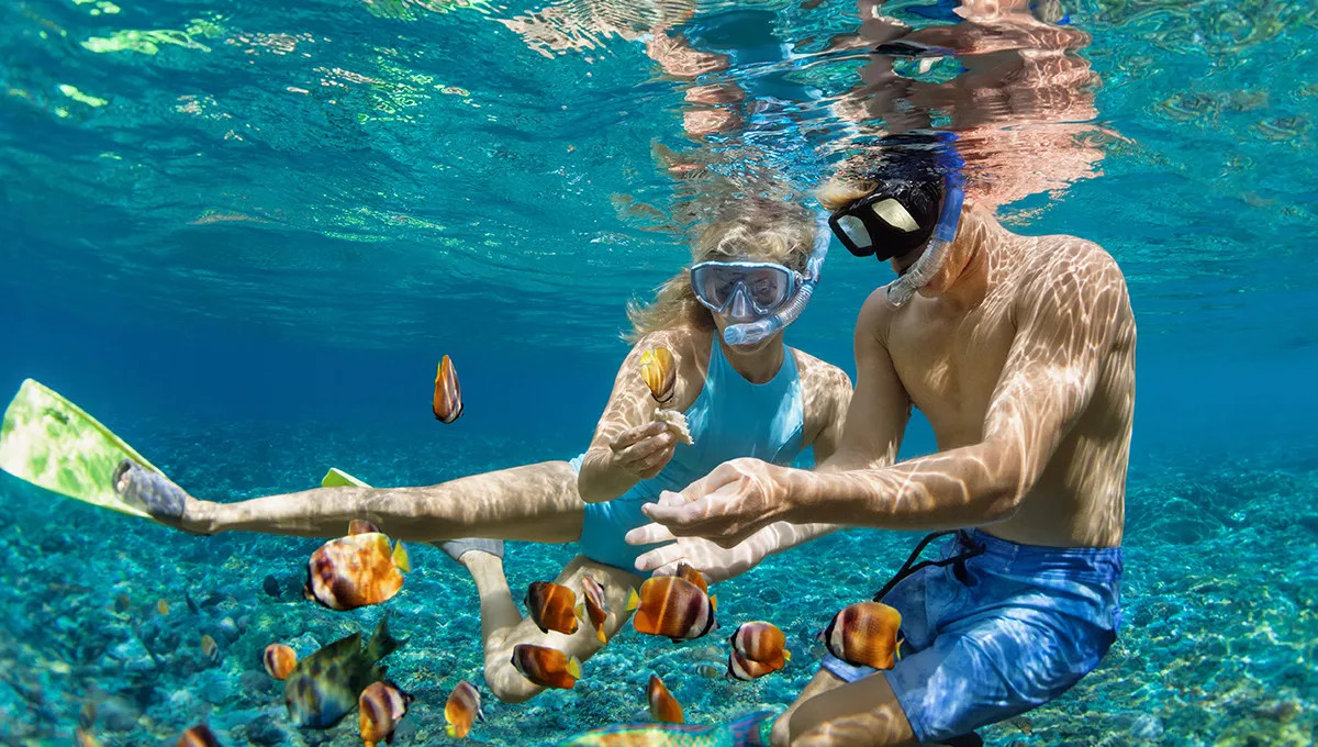 Snorkeling on the House Reef