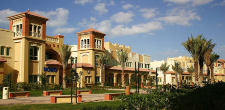 The Innovation Institute of Business