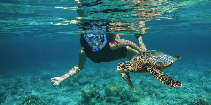 Maldives Winter Camp (ages 9–19)