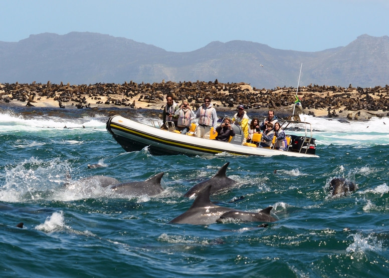 Seal Island Ferry and evening Marcos Restaurant for Dinner