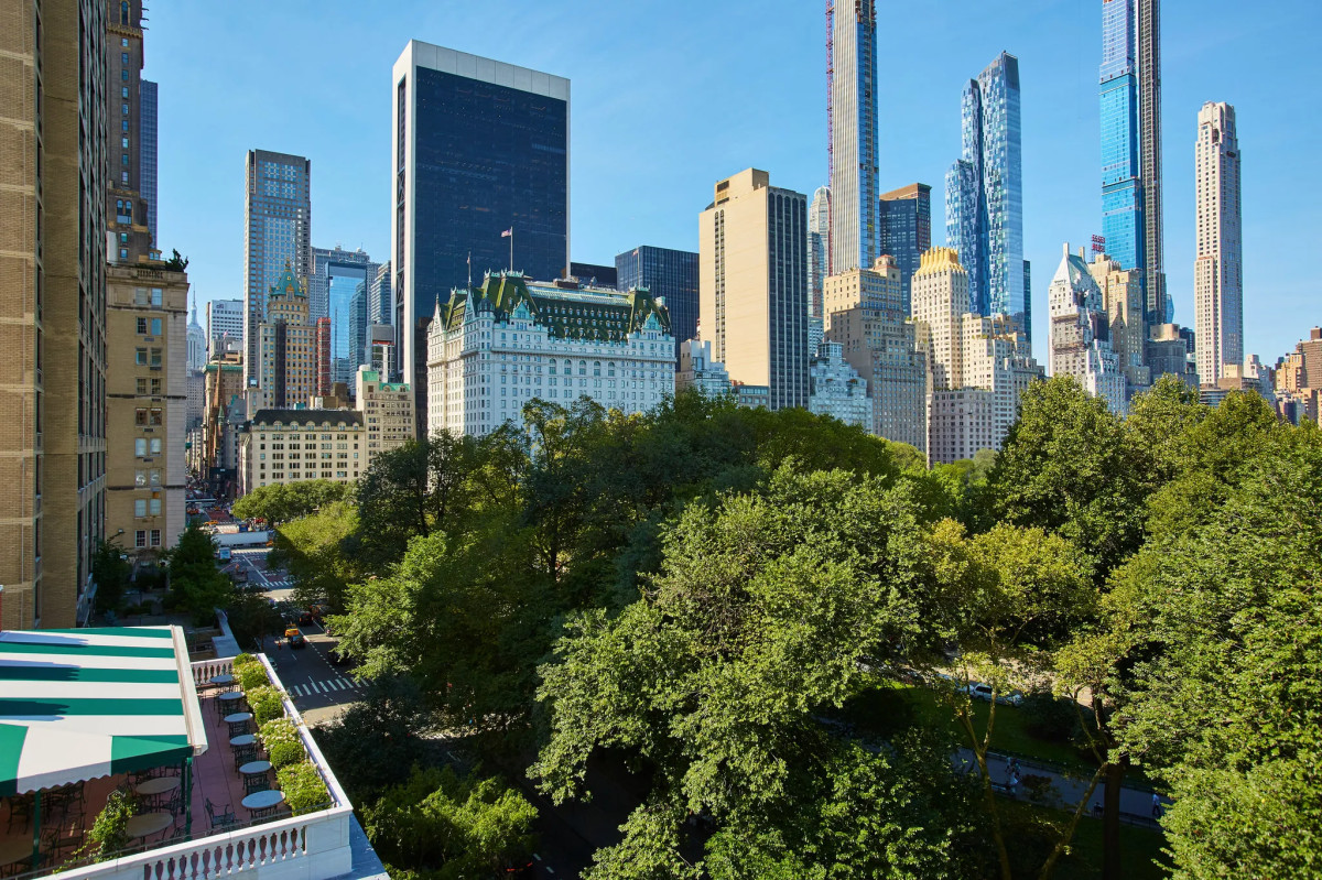 Central Park & Fifth Avenue