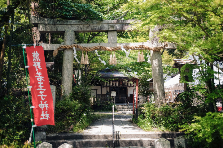Kyoto Japan Summer Camp (ages 14-19)