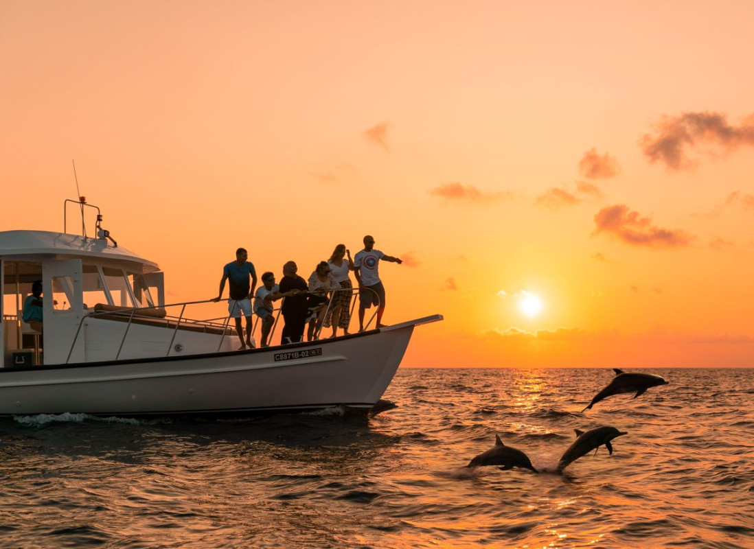 Dolphin Watching Cruise