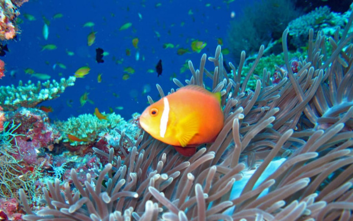 Maldives Winter Camp (ages 9–19)