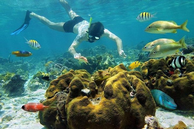 Swimming in the Andaman Sea