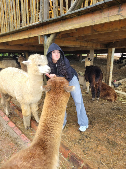 Cape Town Summer Camp for teenagers (ages 15–18)