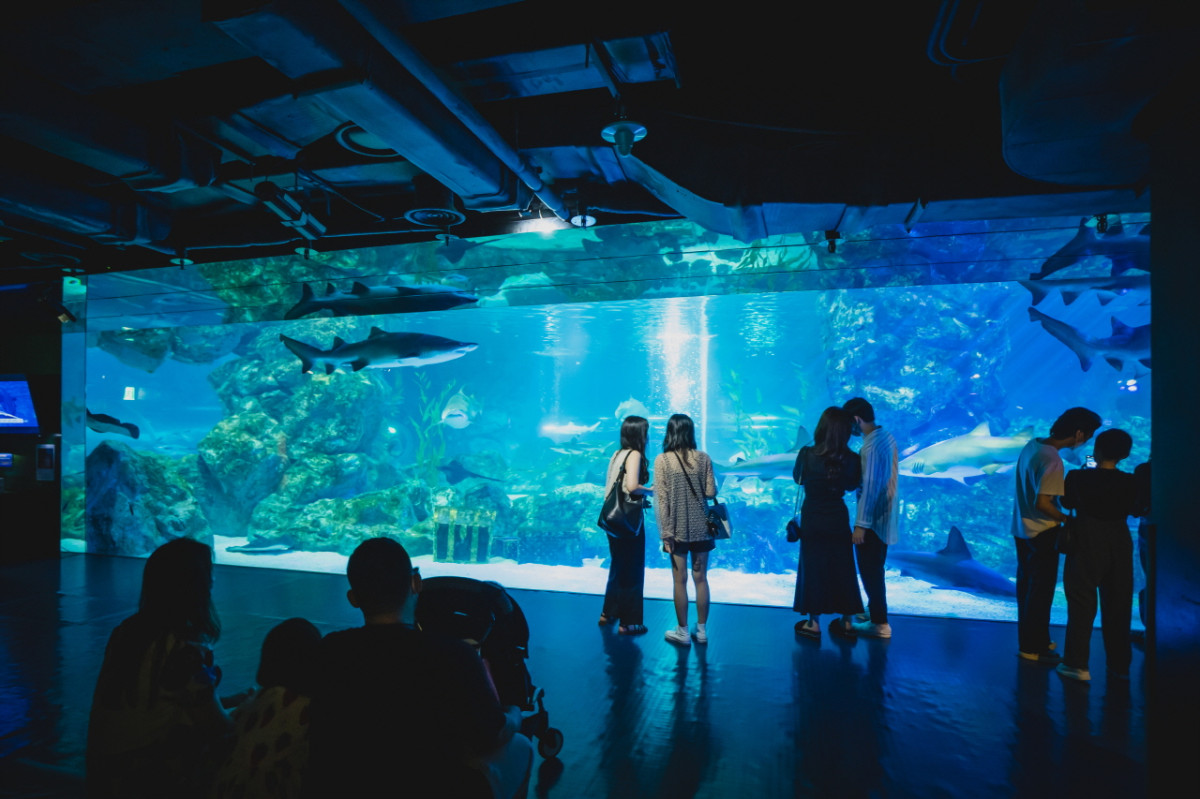COEX Aquarium