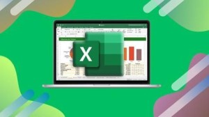 Microsoft Excel - Excel from Beginner to Advanced 2024