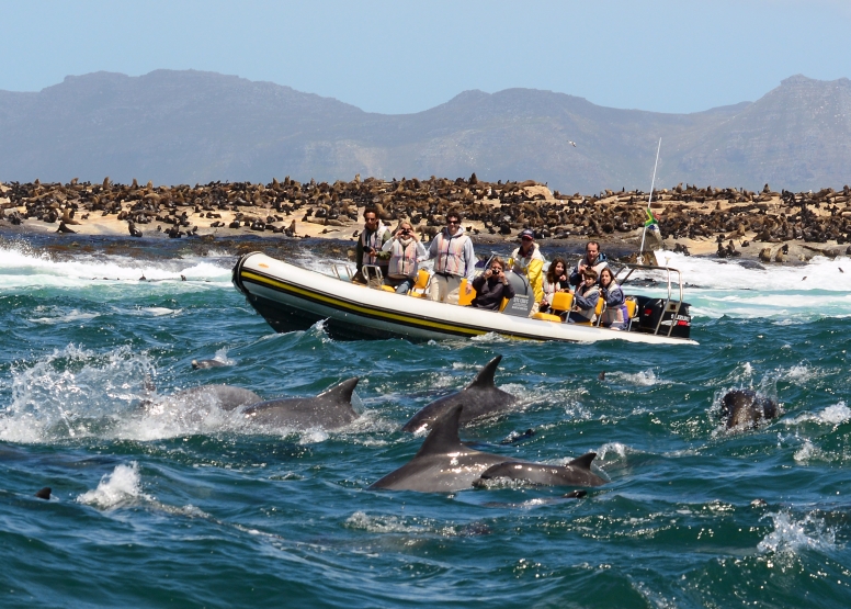 Seal Island Ferry and evening Marcos Restaurant for Dinner