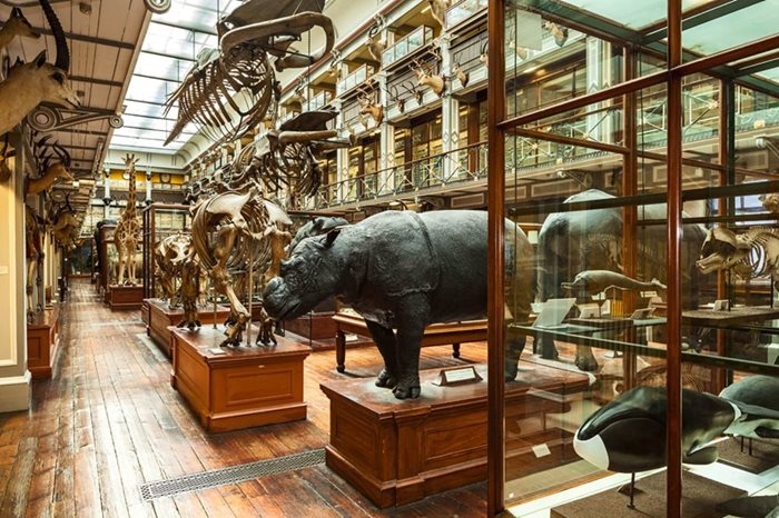 National Museum of Archaeology