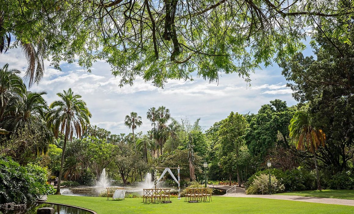 Botanic Gardens & Skyline Panoramic