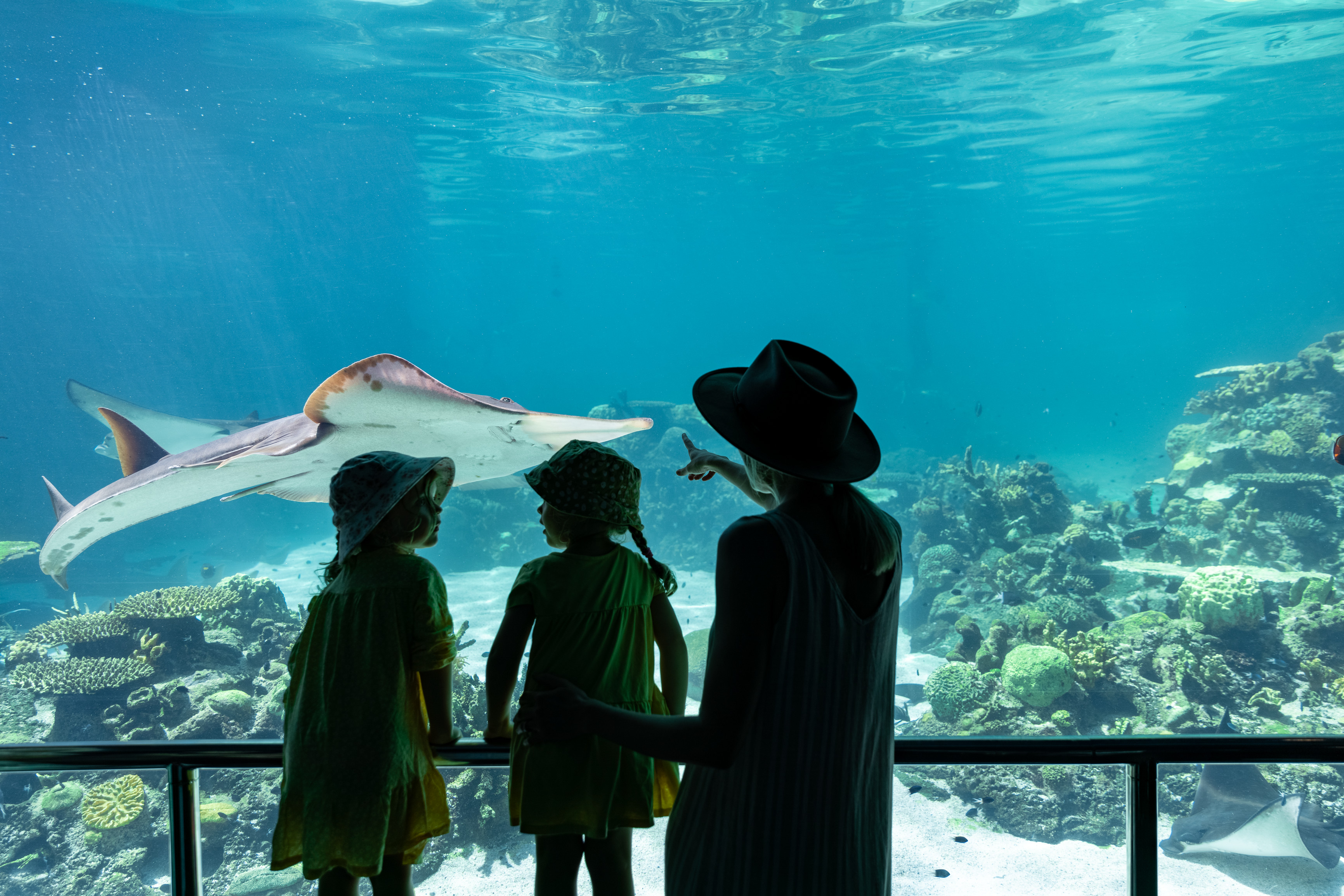 Sea World Theme Park