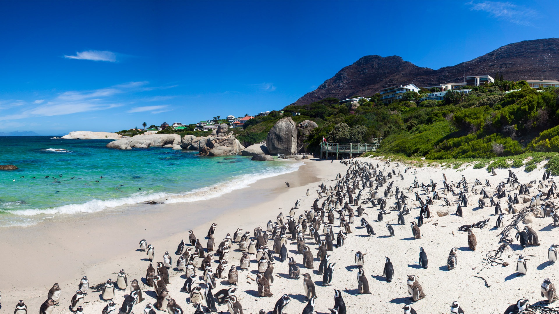 Cape Point